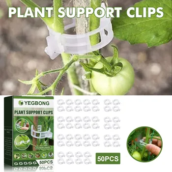 Зажим для поддержки растений 200/100/50шт Пластиковые Зажимы для поддержки растений, Многоразовый Инструмент для защиты Виноградной лозы, Прививки, крепления для овощей