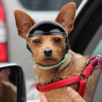Отличный шлем для домашних животных, регулируемый Защитный шлем для домашних собак из полиэстера среднего размера